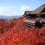 清水寺舞台から紅葉を見る
