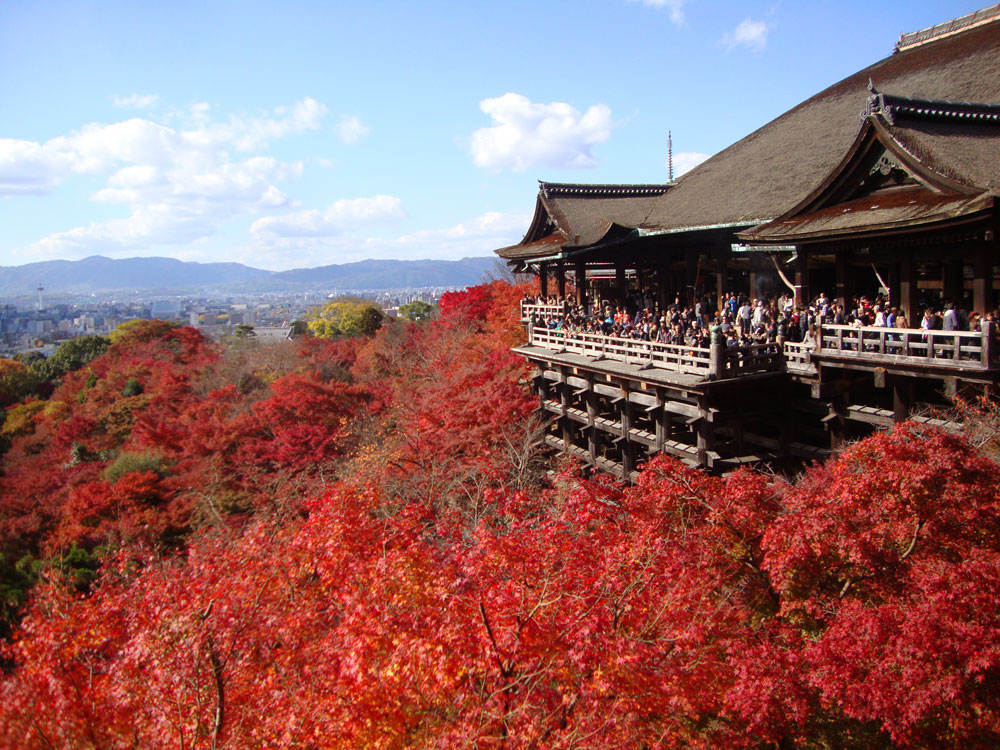 清水寺舞台から紅葉を見る