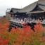 京都清水寺紅葉11月混雑